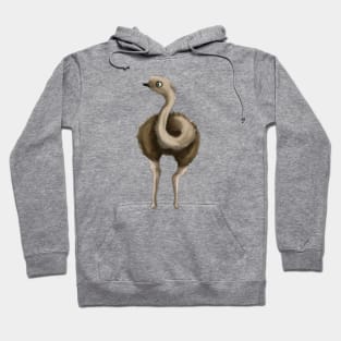 Cute Ostrich Drawing Hoodie